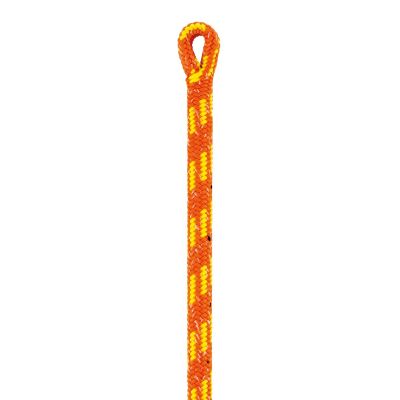 Corde pour élagage 12.5 mm PETZL Control